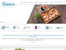 Tablet Screenshot of castlerock.in